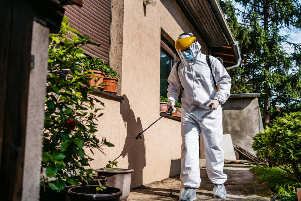 Best Flea Control Services  in Pines Lake, NJ